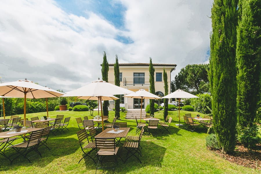 Weingut Mussler – Where Tuscany Meets the Pfalz 🌿🍷