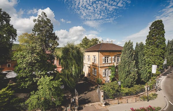 Weingut von Winning - Grand Tradition, Wild Soul 🐾🍇